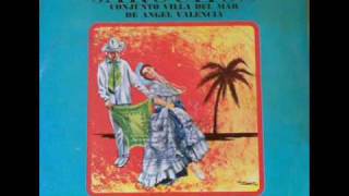 El Torito Jarocho  Conjunto jarocho Villa del Mar de Angel Valencia son jarocho [upl. by Conner612]