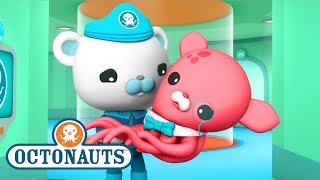 Octonauts  Close Encounters  Ocean Adventures  Cartoons for Kids  Underwater Sea Education [upl. by Ellenrahc]