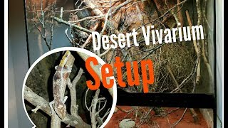 Desert vivarium setup  SPINYTAILED GECKO [upl. by Atiloj871]