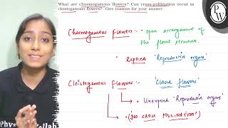 What are chasmogamous flowers Can crosspollination occur in cleis [upl. by Frendel476]