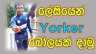 How to Bowl Yorker Ball  Fielding JayA [upl. by Drida]