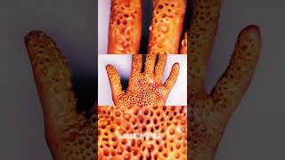 Worst phobias trypophobia phobia trypophobia urcristiano fyp foryou trend [upl. by Ylaek]