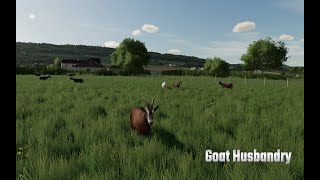 Goat husbandry Farming Simulator 22 [upl. by Redwine]