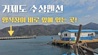 거제도 수상펜션 왔는데 양식장이 바로 앞에 있다면 거제근포해상콘도 상세요약 Geoje Island Water Pension [upl. by Aiceled]