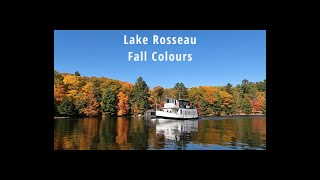 Capturing the fall colours in Muskoka [upl. by Alcot804]