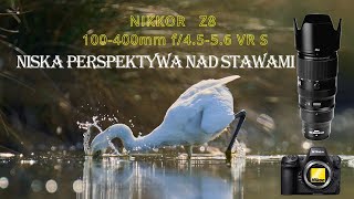 Niska Perspektywa  fotografia przyrodnicza  nikon wildlife [upl. by Filmore]