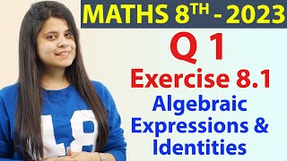 Q 1  Ex 81  Algebraic Expressions amp Identities  Ch 8  Maths Class 8 New Syllabus CBSE 2023 [upl. by Emaj]