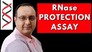 RNase Protection Assay  Transcriptome Analysis [upl. by Staal]