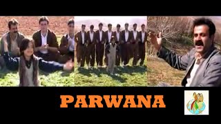 Parwana  Kurdish Music Halparke [upl. by Currey711]