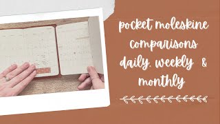 Pocket Moleskine  Daily Weekly amp Monthly [upl. by Ennobe614]