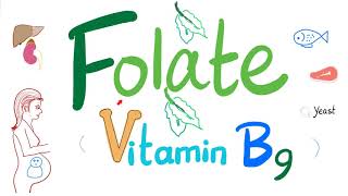 Vitamin B9 Folate 🥬  Folic  Structure Function Folate Deficiency Anemia Diagnosis amp Treatment [upl. by Darrin54]