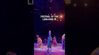 Festival of the Lion King thelionking animalkingdom disney waltdisneyworld travel travelvlog [upl. by Juli770]