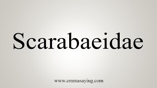 How To Say Scarabaeidae [upl. by Ednutabab]