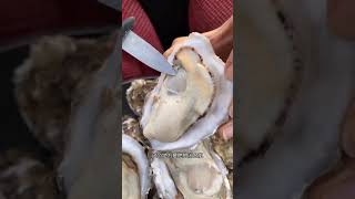 Yummy Mukbang  ASMR Mukbang  ASMR 식사  Asmr  ASMR食品  Amazing Sea Food [upl. by Ahsini]