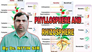 Rhizosohere and Phyllosphere  राइजोस्फेयर एवं फाइलोस्फीयर nitingangwar05 [upl. by Gardia78]