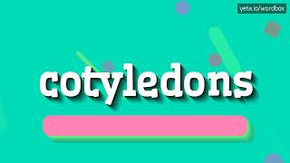 COTYLEDONS  HOW TO PRONOUNCE IT COTYLEDONS MEANING AND PRONUNCIATION [upl. by Tail799]