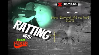 Ratting with the HIKMICRO Lynx Pro LH19 thermal spotter plus review [upl. by Yenterb]