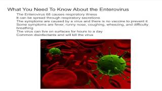 What You Need to Know About the Enterovirus [upl. by Lorelle]