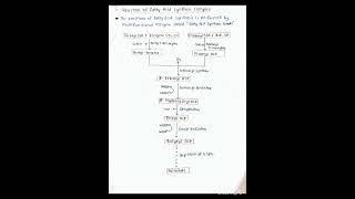 De novo Synthesis of fatty acid Palmitic acid biochemistry bpharmacy trendinghandwritten note [upl. by Fassold]