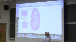 31 Biochemistry Lecture LipidFat Metabolism I from Kevin Aherns BB 350 [upl. by Enotna]