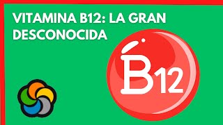 Vitamina B12 la gran desconocida [upl. by Eenolem]