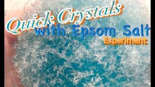 Quick Crystals with Epsom Salt Experiment epsom salt experimentsmagnesium sulfate [upl. by Mildrid499]