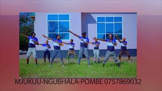 Mjukuu Ngubhala Song Pombe Official Audio [upl. by Atteniuq]