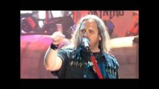 Lynyrd Skynyrd  Red White and Blue Live [upl. by Nellahs]