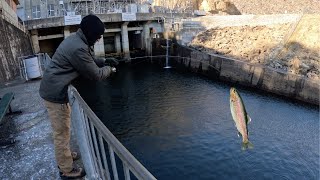 TROUT FISHING at SMITH LAKE DAM We Caught DINNER Catch Clean Cook [upl. by Alaj]