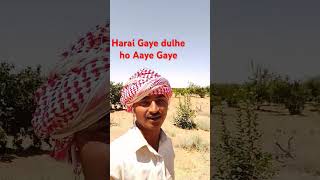 Haryanvi Gaye dulhe hue dulhe Ajay man I Gaye [upl. by Kape]