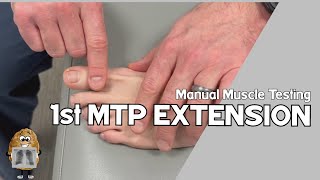 MMT 1st Metatarsophalangeal MTP Joint Extension Manual Muscle Test [upl. by Grissom]