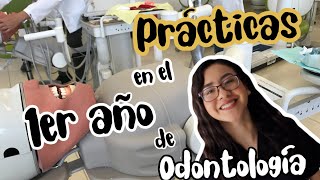 Prácticas en el primer año de odontología [upl. by Roarke974]