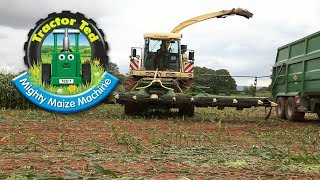 Trailer Tractor Ted Mighty Maize Machine [upl. by Kumagai]