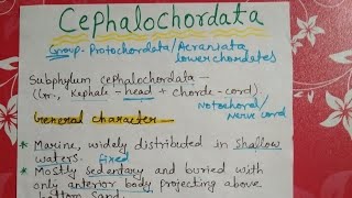 Subphylum cephalochordata full explained in Hindi [upl. by Landrum]