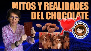 CHOCOLATE ☕🍫🎂😋 Historia beneficios y riesgos para la salud [upl. by Myrtice75]