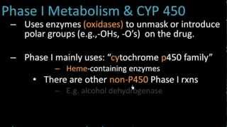 Phase I Metabolism  Pharmacology Lect 7 [upl. by Annai392]