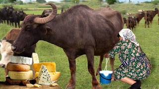 From Farm to Table Making Mozzarella Cheese from Fresh Buffalo Milk [upl. by Blatt]