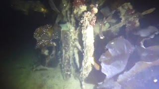 Stunning underwater images of the longlost HMS Terror [upl. by Elsey561]