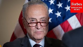 JUST IN Chuck Schumer Asked Point Blank Why Democrats Lost The Election [upl. by Hajed]