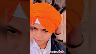 sardari 👳‍♂️🌸 amani [upl. by Rexanne521]