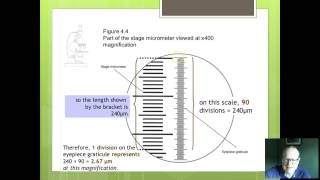 OCR Biology 3 Using graticules [upl. by Herta598]