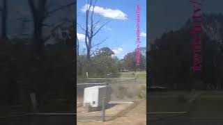 VLINE Albury NSW To Southern Cross 101024 vline shorts shortvideo train travel views [upl. by Attener]