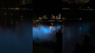 Niagara Falls Night View falls [upl. by Gard800]