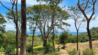 Beautiful One Of A Kind Ocean View Farm in Costa Rica Town of Cabuya [upl. by Jeffery]