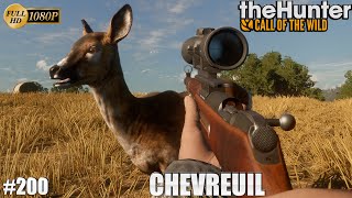 THEHUNTER COTW GAMEPLAY 200 UNE CHASSE AUX CHEVREUILS SUR CUATRO COLINAS  CHASSE 2023 [upl. by Nidnal]