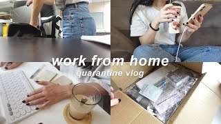 work from home week  quarantine daily vlog 🏠 [upl. by Garv315]