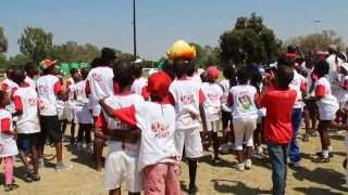 KFC mini cricket kids meet Zac the Protea mascot [upl. by Anaihr]