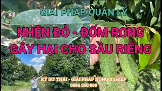 114 Nhện Đỏ  Đốm Rong Gây Hại Sầu Riêng Phun Thuốc Gì Kỹ Sư Thái 0986 550 899 [upl. by Ecikram]