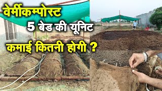 वर्मीकम्पोस्ट 5 बेड में कमाई कितनी होगी  VermiCompost Business in india  Krishna Organic [upl. by Tenej]