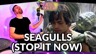 Yoda Seagulls amp Drums  WiseDrums LIVE Highlight [upl. by Zelig]